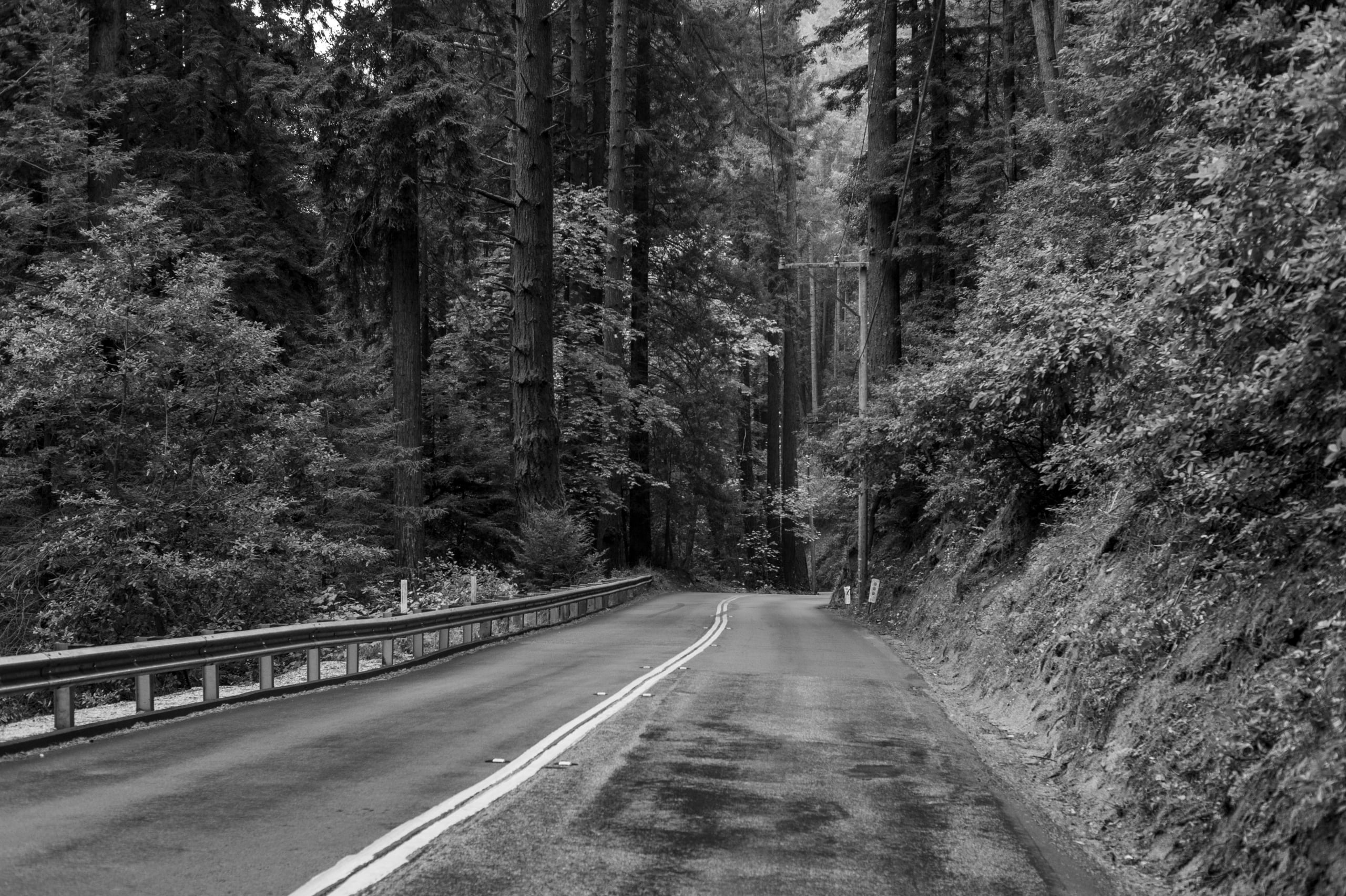 HGarfield-NorCal-23-095