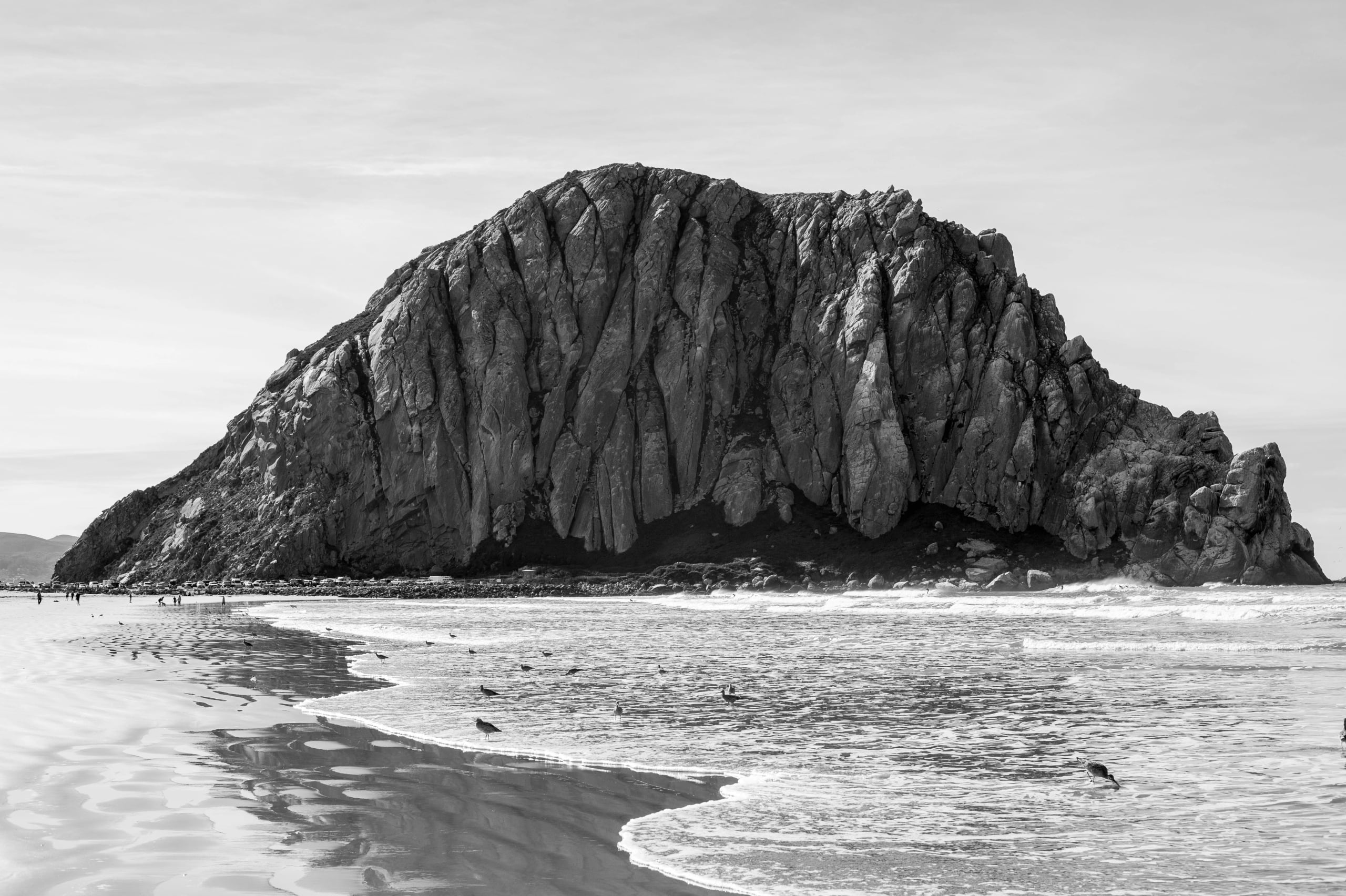 HGarfield-NorCal-23-060