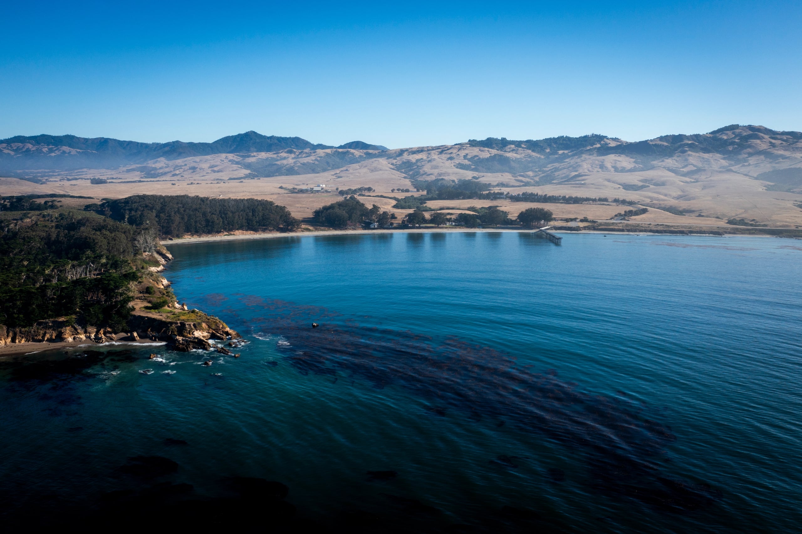Hgarfield-BigSur24-24