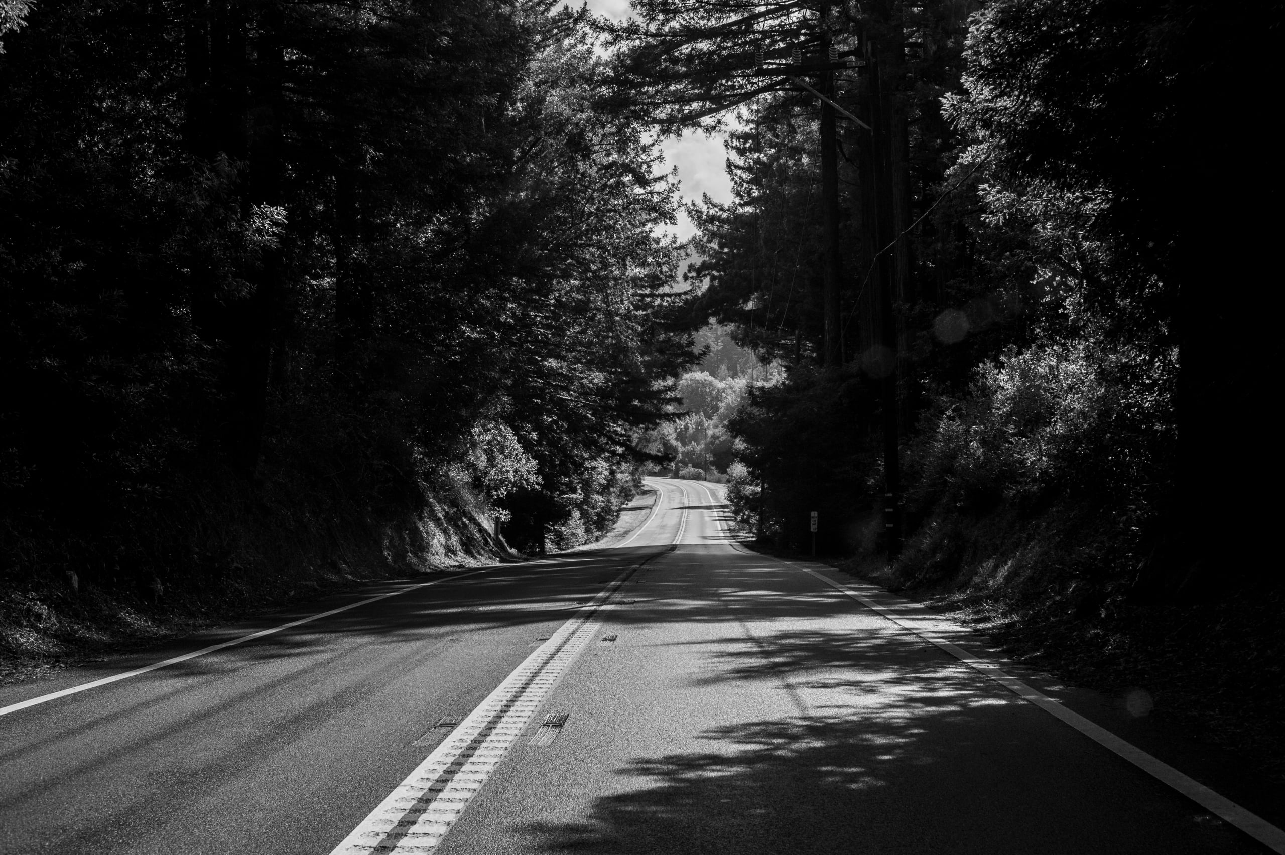 HGarfield-NorCal-23-027