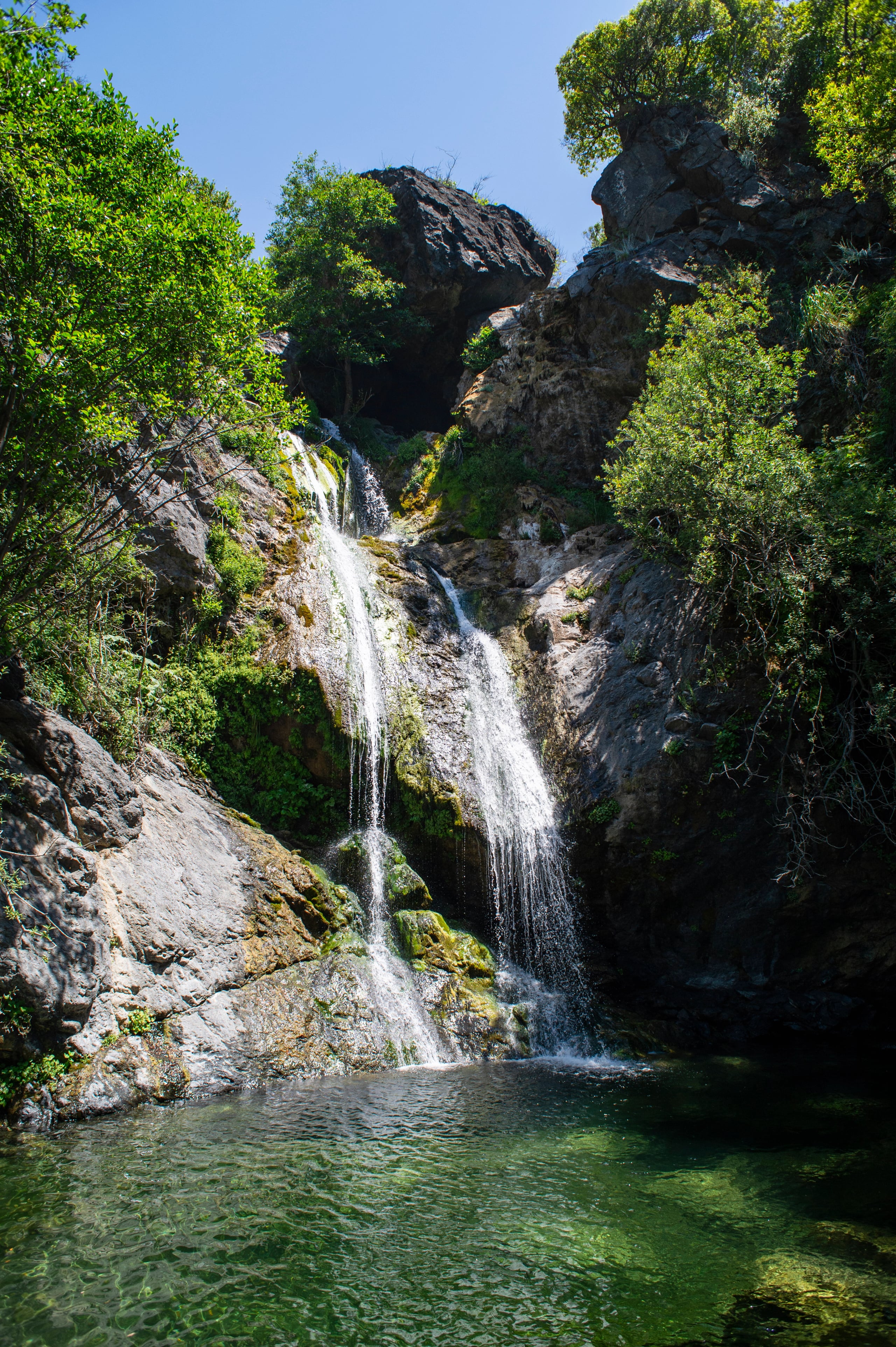 Hgarfield-California-23-002