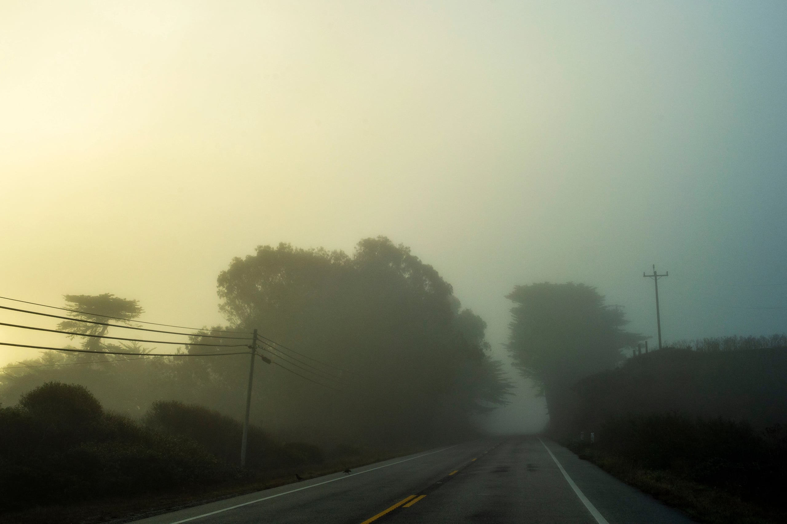 HGarfield-NorCal-23-081