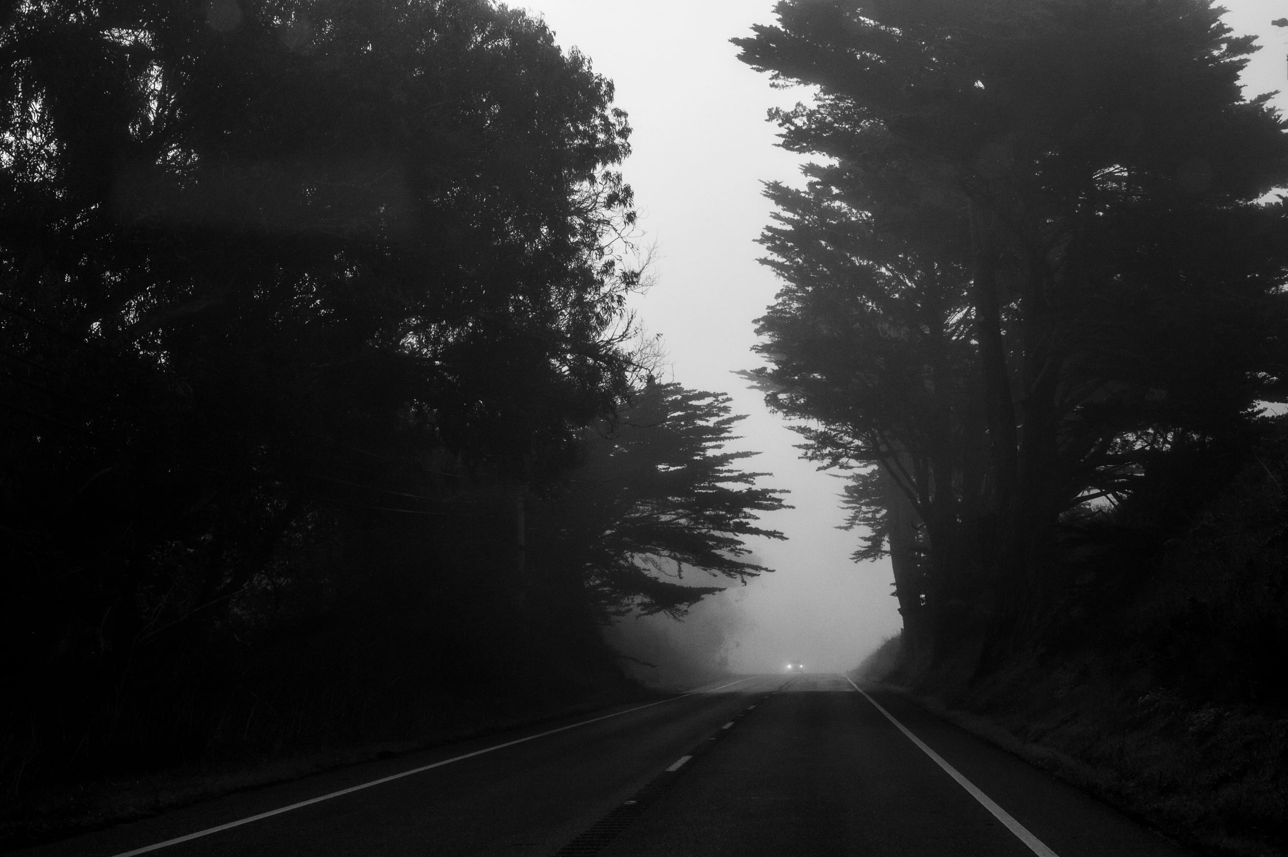 HGarfield-NorCal-23-082