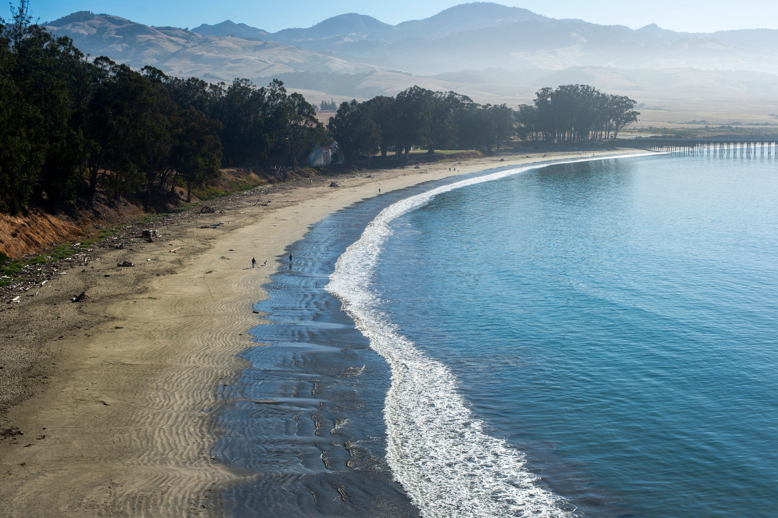 Hgarfield-California-23-017
