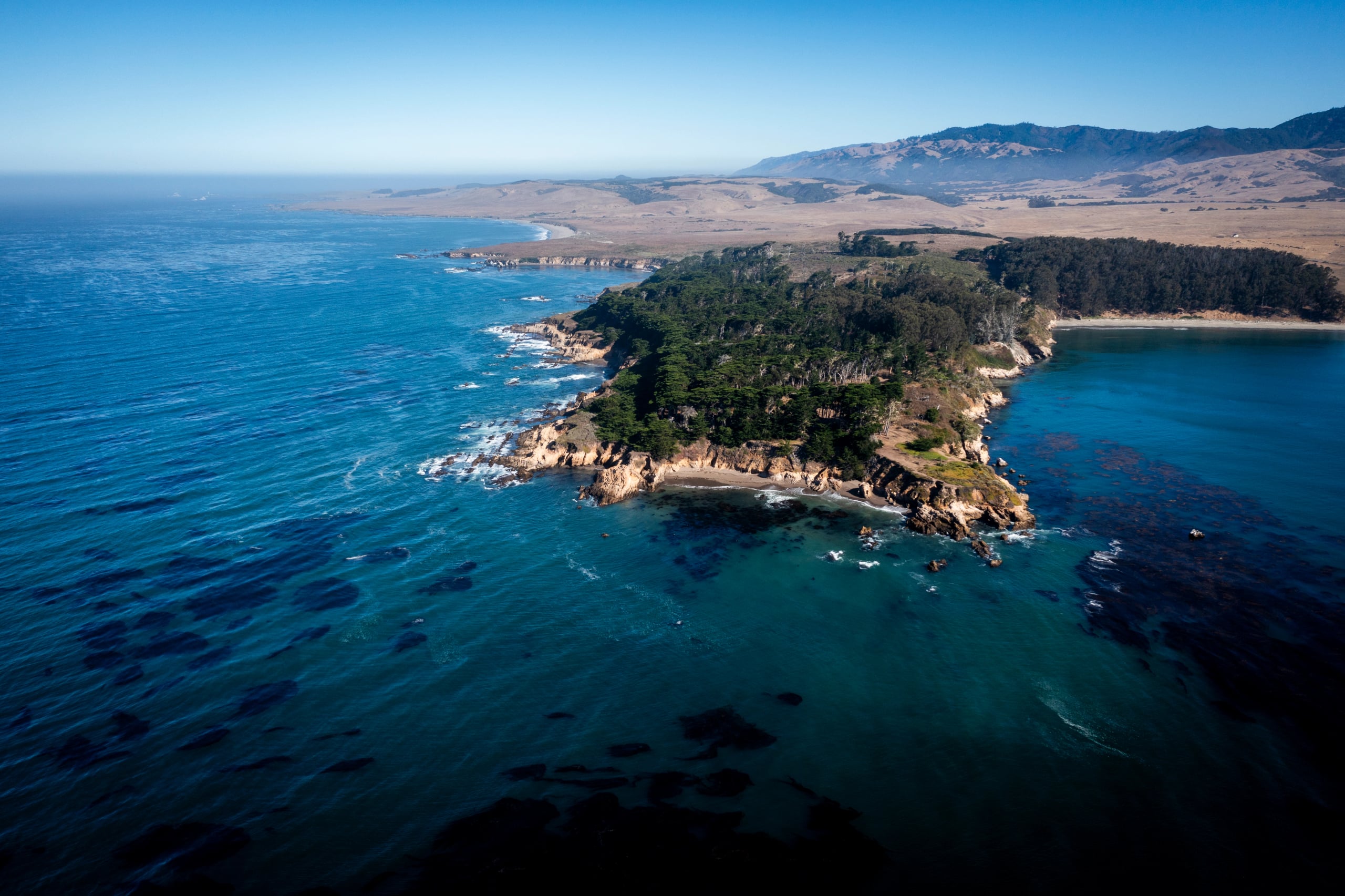 Hgarfield-BigSur24-32