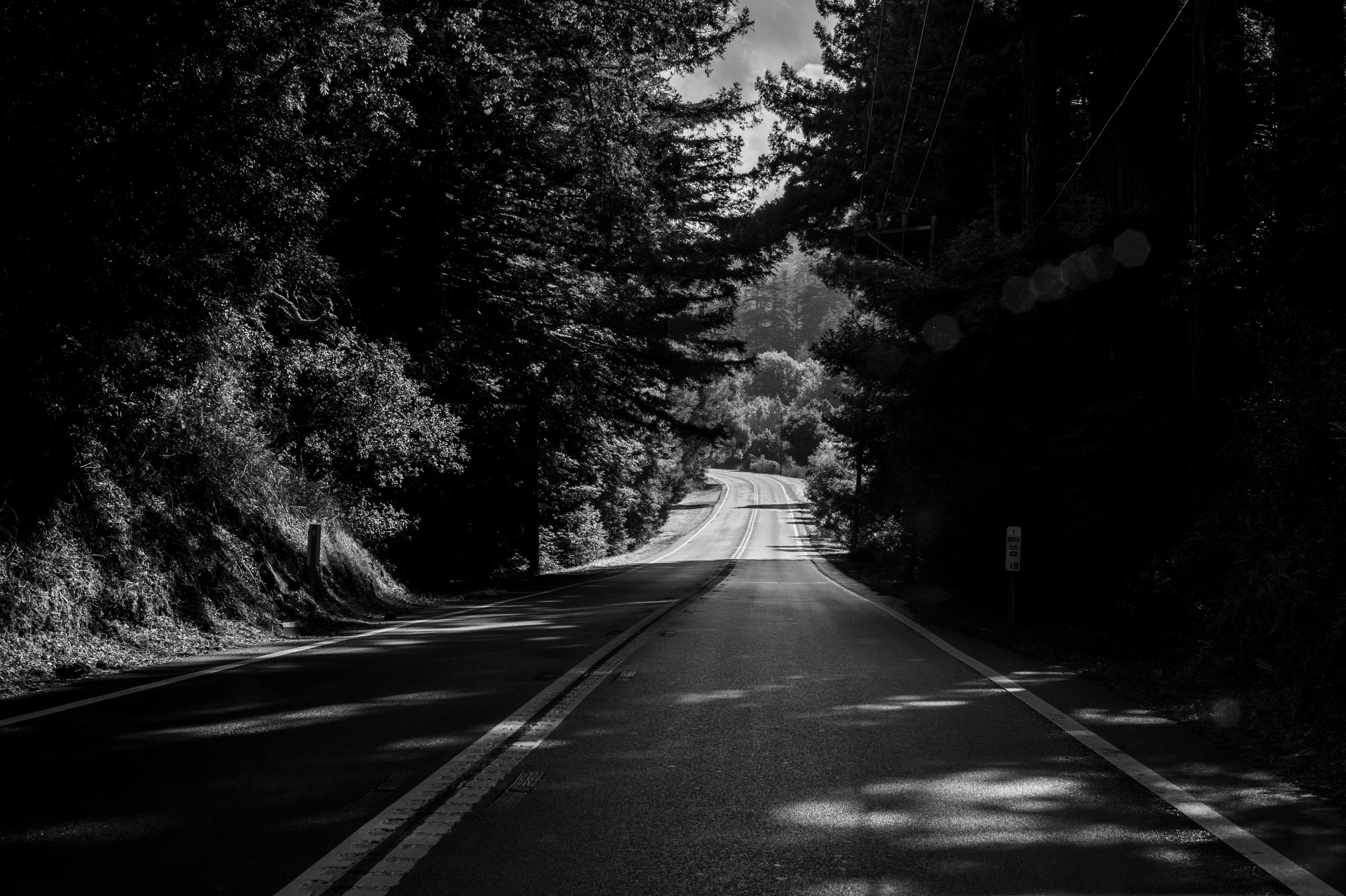 HGarfield-NorCal-23-028
