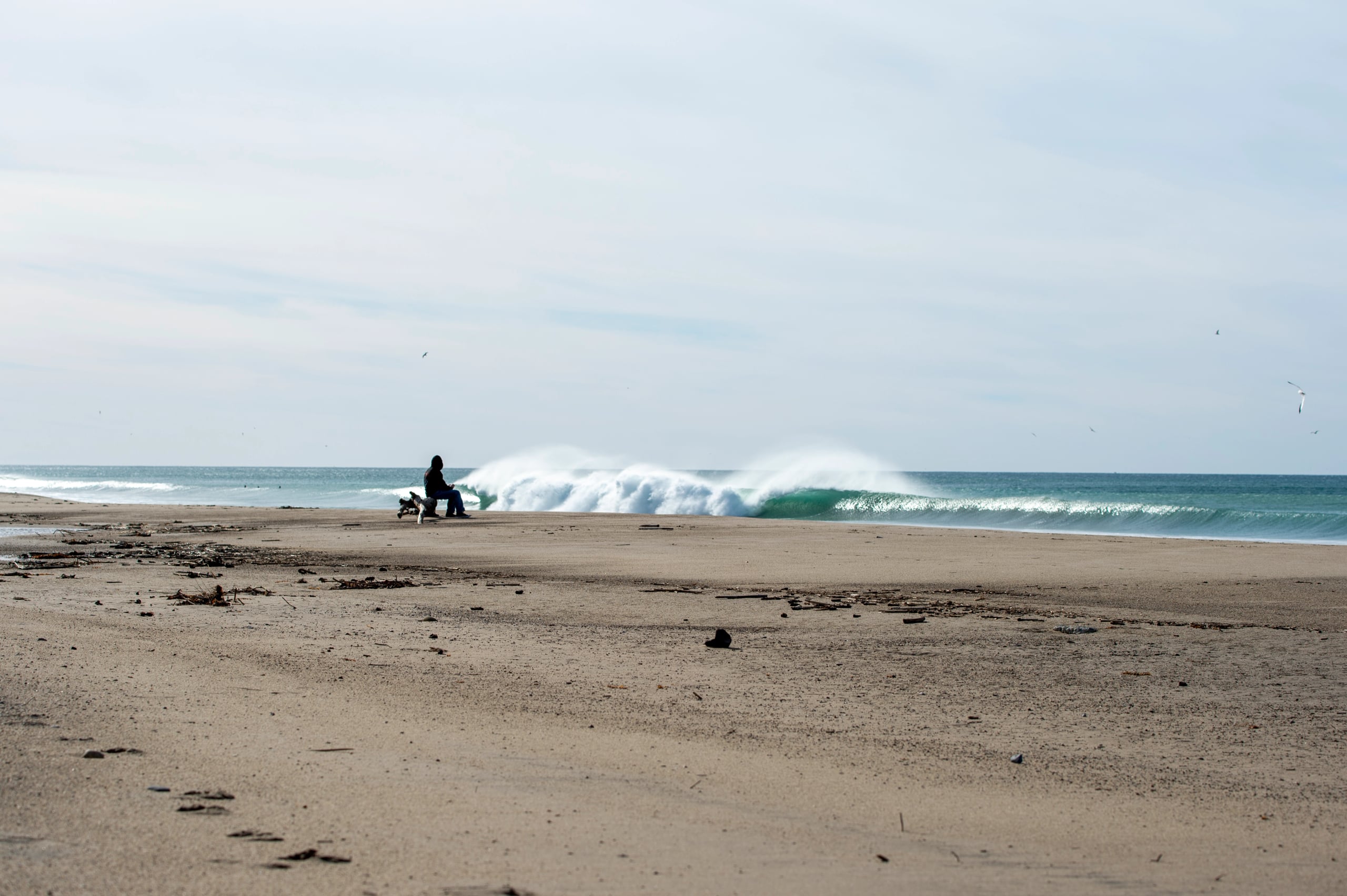 Hgarfield-SBMisc-12
