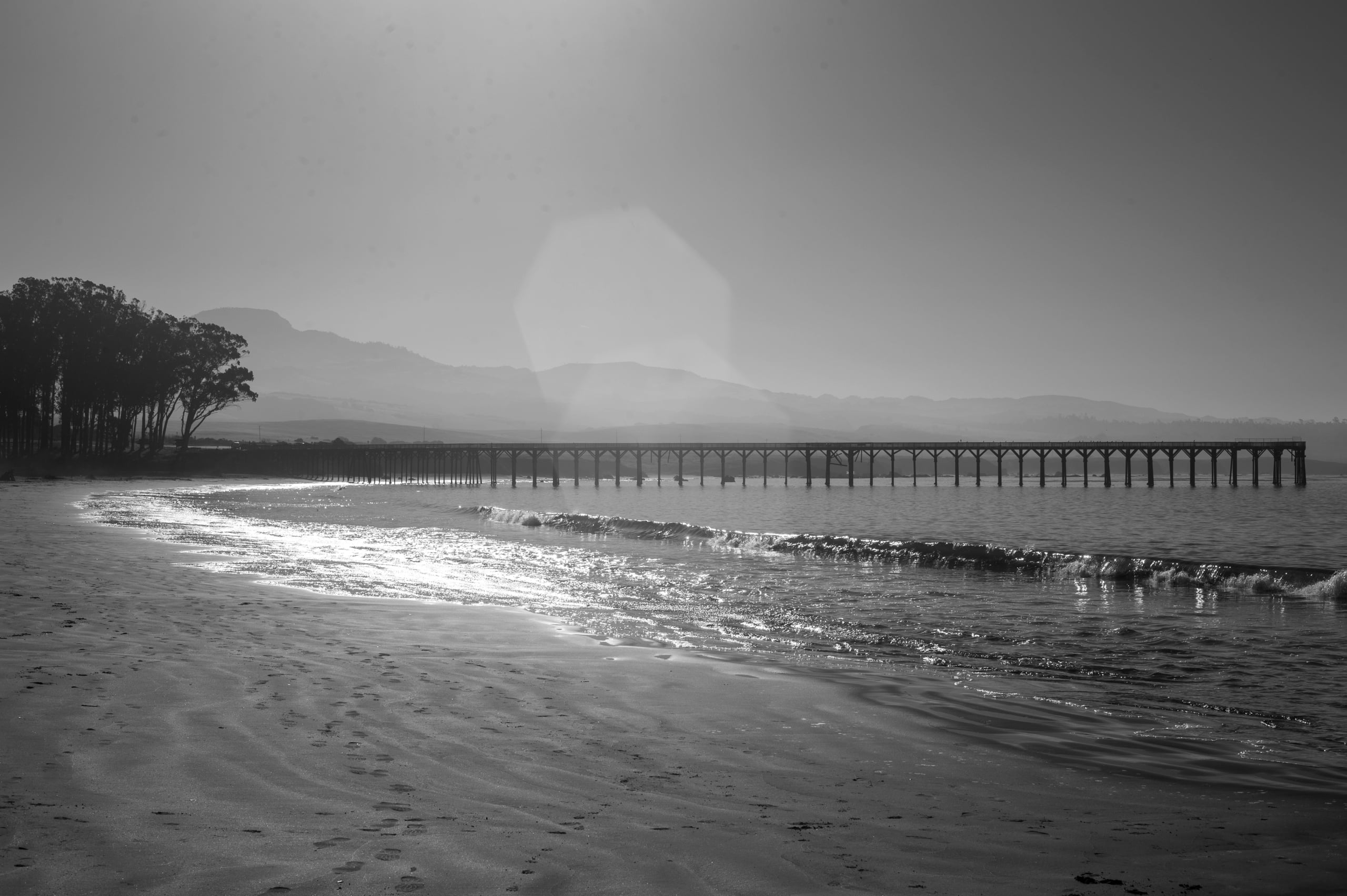 Hgarfield-California-23-015