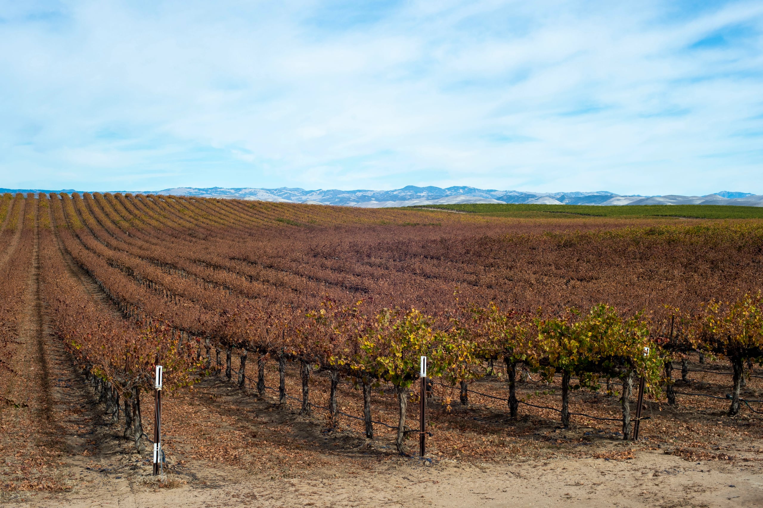 HGarfield-NorCal-23-074