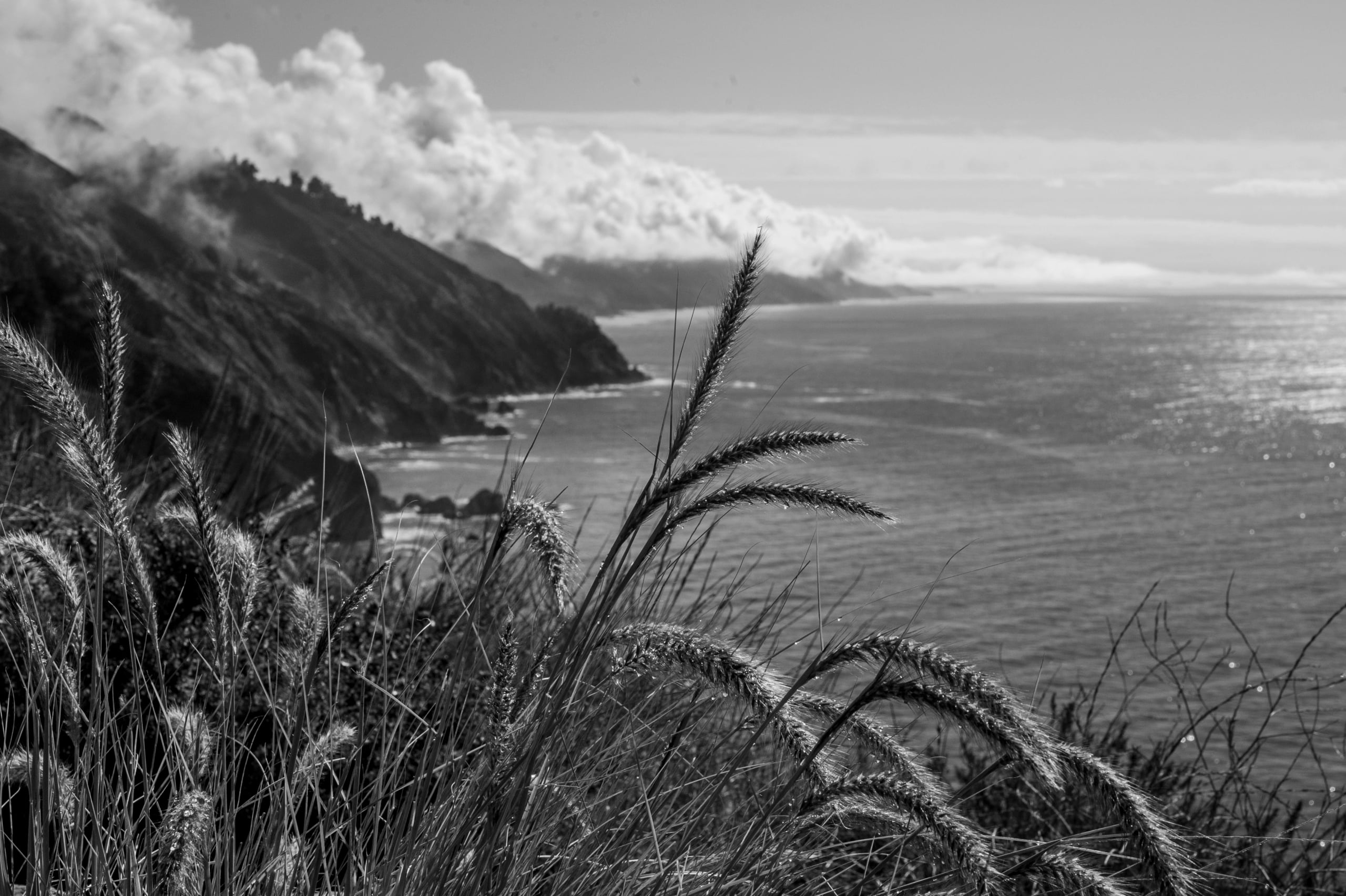 HGarfield-NorCal-23-031